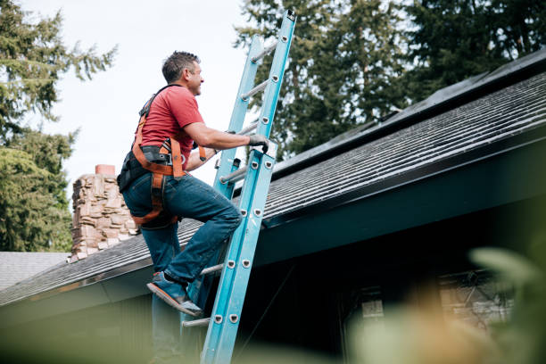 Best Gutter Installation and Repair  in Bealeton, VA